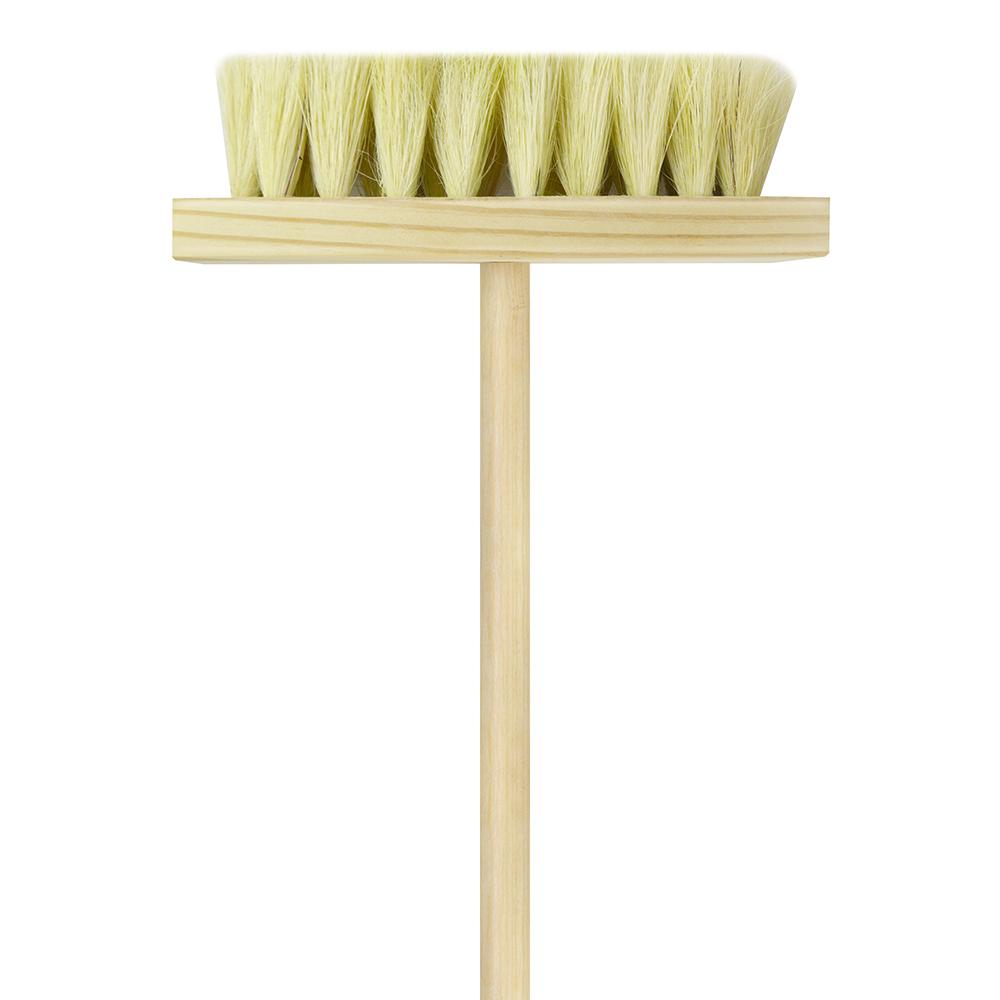 CEPILLO DE IXTLE